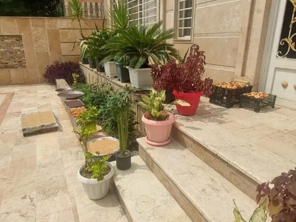 فروش سه طبقه مستقل ساختمان با 263متر زمین تجاری و مسکونی 3