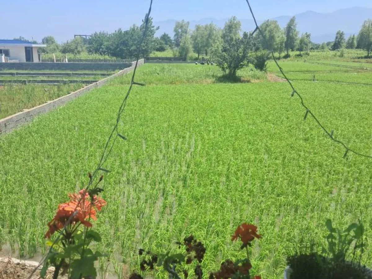 ویلا 2