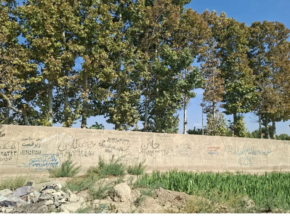 زمین 2