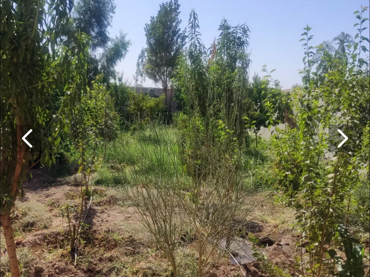 ۱۳۰ متر ویلایی
