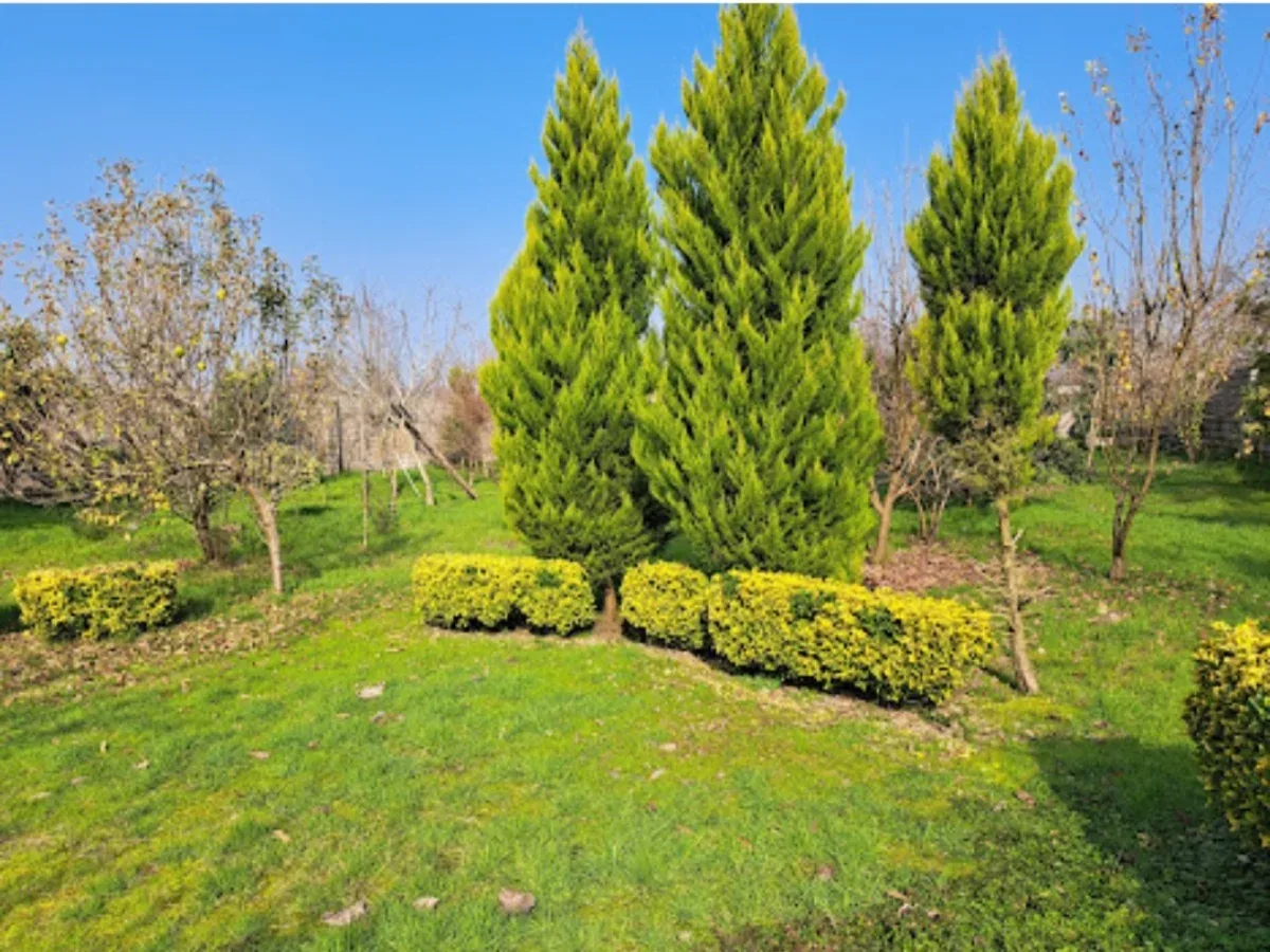 زمین ۱۰۳۰متری مسکونی 2