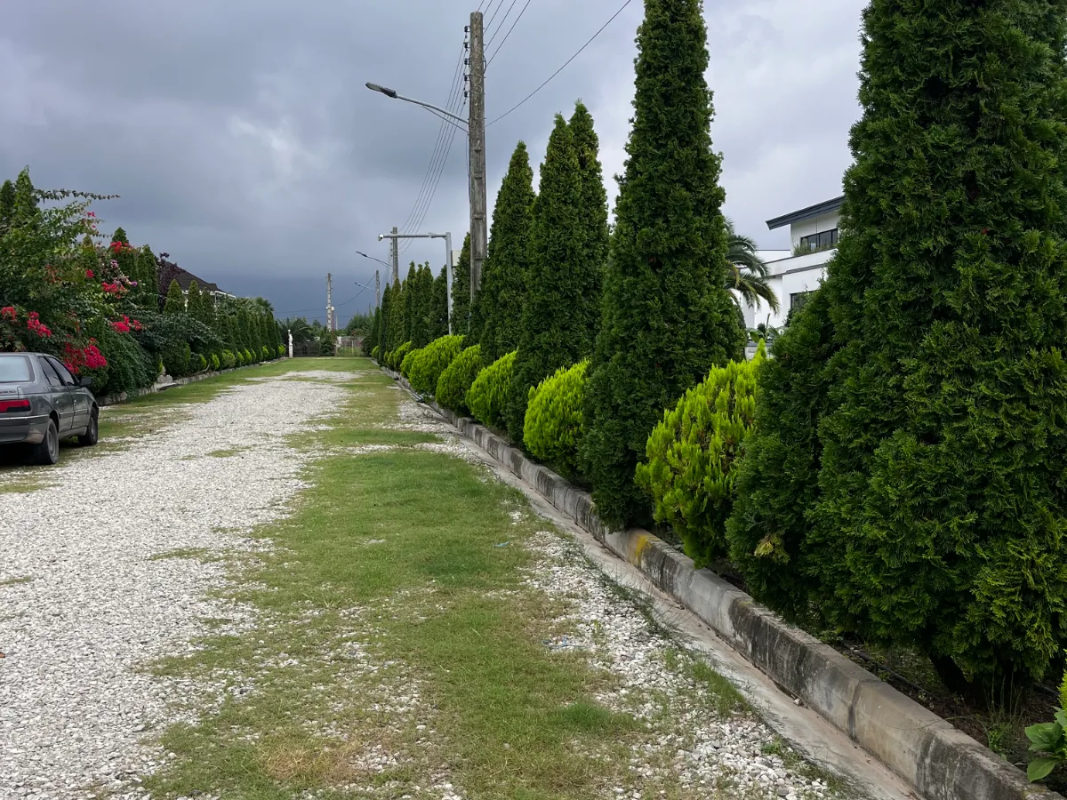 زمین 2