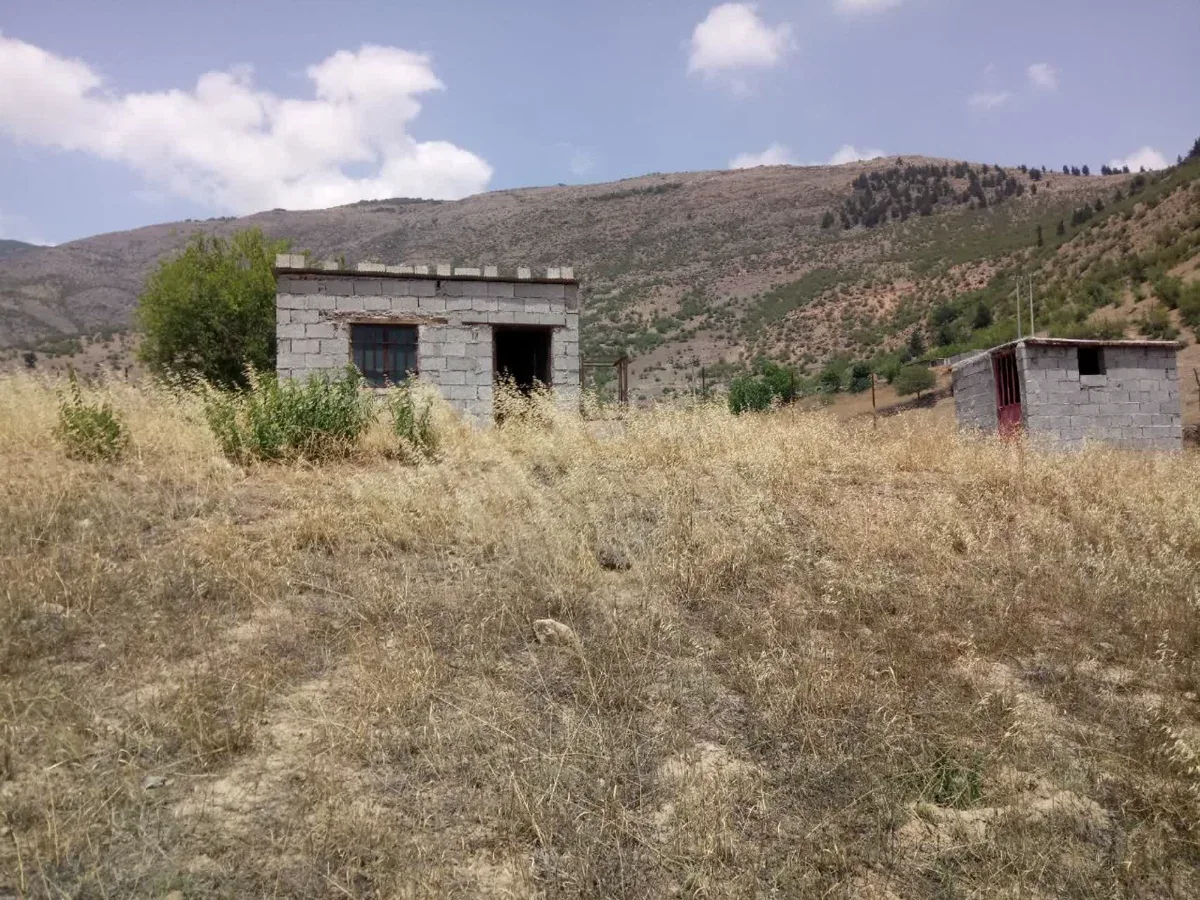 زمین 1600 متری داری ساختمان و سرویس با کاربری زراعی باغی 5