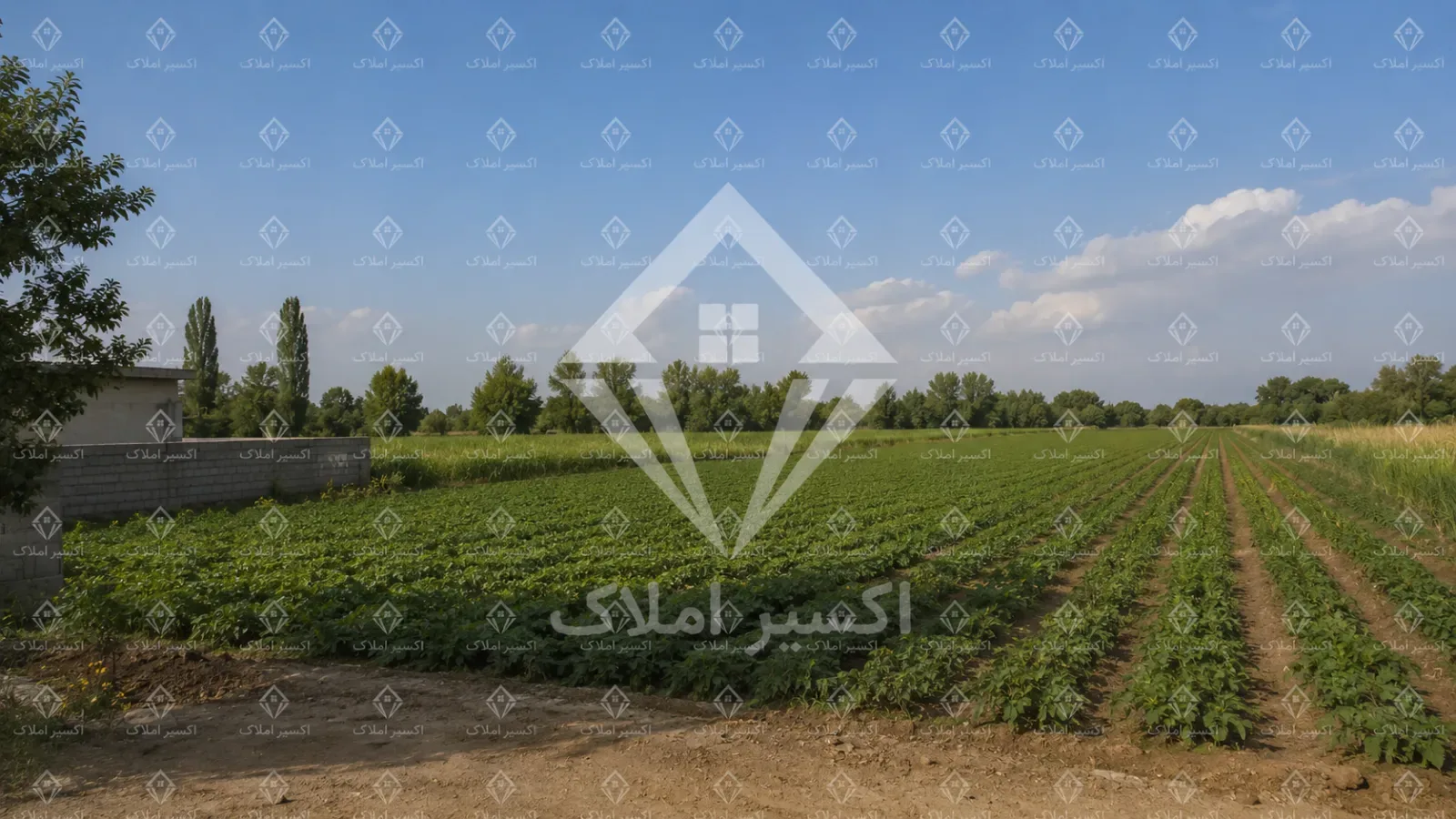 زمین هکتاری بر اول ساحل شهرستان کیاشهر ،گیلان